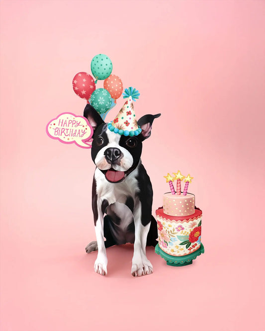 Birthday Theme