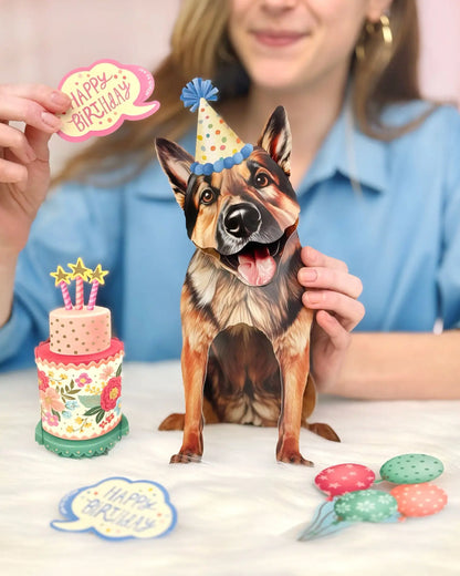Birthday Theme