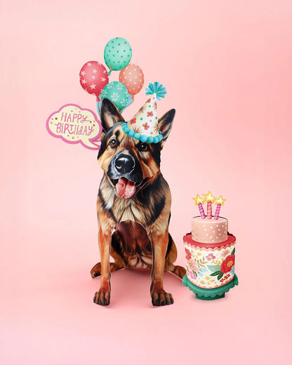 Birthday Theme