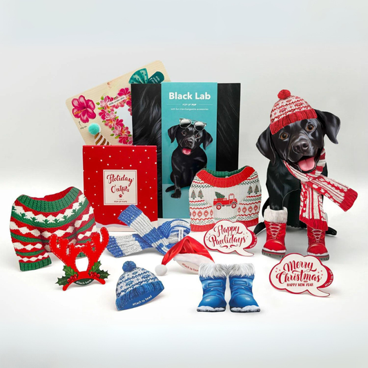 Holiday Outfit Accessory