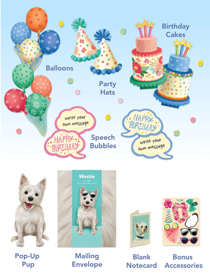 Birthday Theme